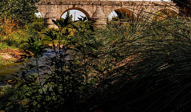 Las Rozas obtiene el reconocimiento “Sendero Azul”, el primero que se consigue en la Comunidad de Madrid