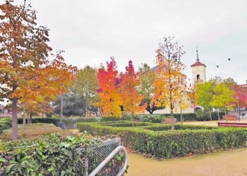 Majadahonda cierra 2023 con un descenso en el número de personas en desempleo