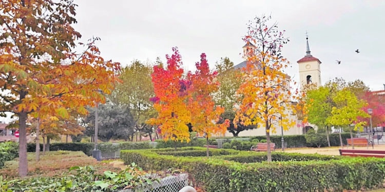 Majadahonda cierra 2023 con un descenso en el número de personas en desempleo