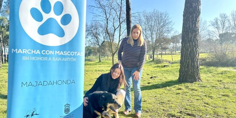 Este sábado se celebra la tercera Marcha con Mascotas en el Monte del Pilar