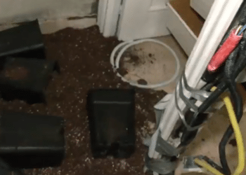 Desmantelada una plantación de marihuana en una casa ocupada de Pozuelo de Alarcón