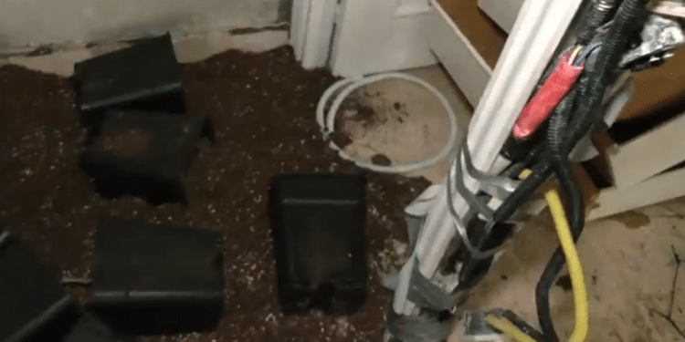 Desmantelada una plantación de marihuana en una casa ocupada de Pozuelo de Alarcón