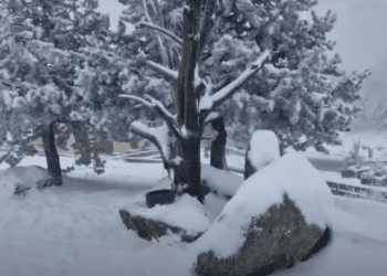 La Comunidad activa la alerta por frío ante la previsión de temperaturas por debajo de los tres grados negativos