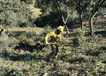 La Comunidad de Madrid despliega 25 retenes forestales y más 300 efectivos para la prevención de incendios