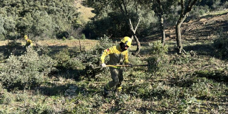 La Comunidad de Madrid despliega 25 retenes forestales y más 300 efectivos para la prevención de incendios