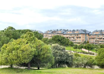 Majadahonda se convierte en una de las “Tree city of the world”
