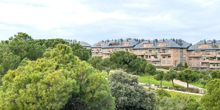 Majadahonda se convierte en una de las “Tree city of the world”