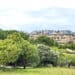 Majadahonda se convierte en una de las “Tree city of the world”