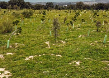 Las Rozas logra reducir un 60% su huella de carbono