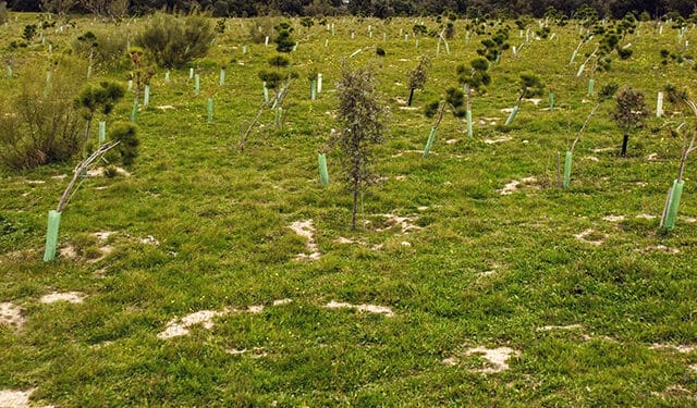 Las Rozas logra reducir un 60% su huella de carbono