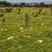 Las Rozas logra reducir un 60% su huella de carbono
