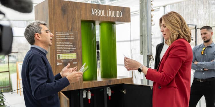 Pozuelo de Alarcón presenta uno de los primeros árboles líquidos de España que mejora la calidad del aire