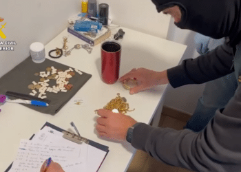 Desarticulado un grupo criminal especializado en el robo de viviendas | VÍDEO