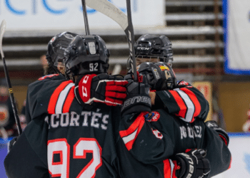 Los Osos jugarán la final de la Liga por segunda vez