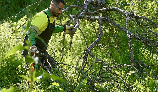 Las Rozas comienza las labores de desbroce en la senda del arroyo Trofa