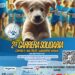 Carrera solidaria en Pozuelo contra el abandono y maltrato animal
