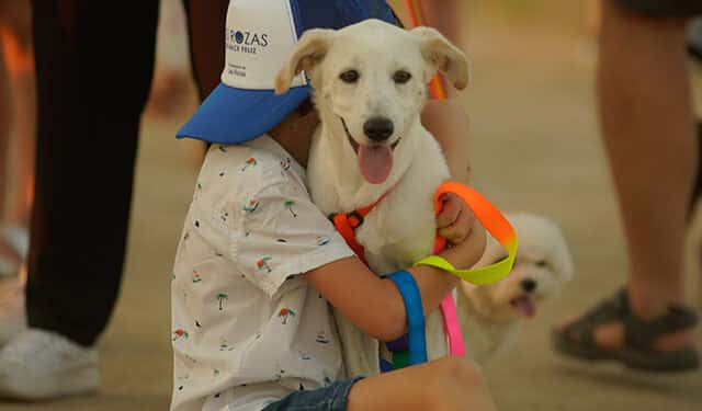 CaniCross Las Rozas, una carrera no competitiva en la que podrán participar los perros con sus dueños