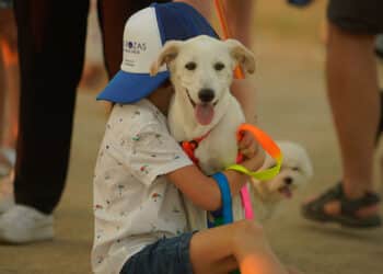 CaniCross Las Rozas, una carrera no competitiva para los perros roceños y sus dueños