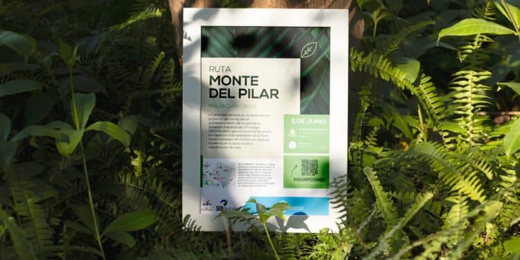 Majadahonda celebra el Día del Medioambiente con un recorrido guiado por el Monte del Pilar para descubrir su fauna y flora