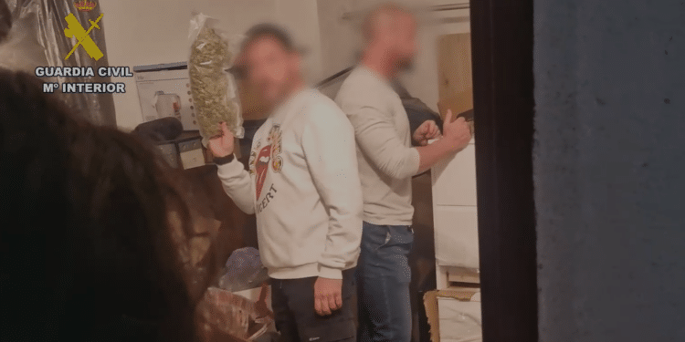 La Guardia Civil interviene 6 kilogramos de marihuana y 65 de hachís del interior de un trastero de Las Rozas | Vídeo