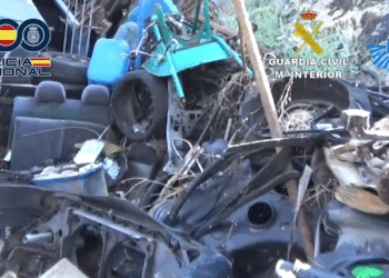 Desarticulado un grupo criminal dedicado al robo de vehículos para desguazarlos y venderlos para piezas | Vídeo