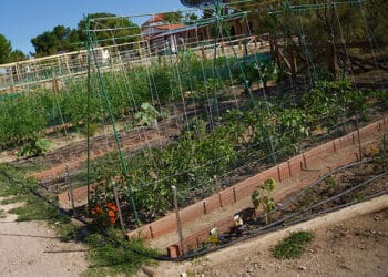 Las Rozas candidata a mejor ciudad ecológica en los premios de la Unión Europea