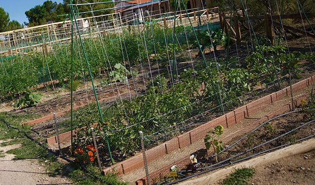 Las Rozas candidata a mejor ciudad ecológica en los premios de la Unión Europea