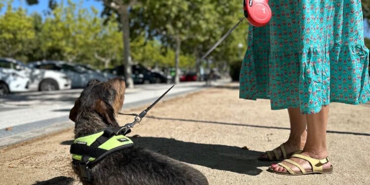 El Ayuntamiento de Majadahonda recuerda a los vecinos que deben pasear a sus perros con correa
