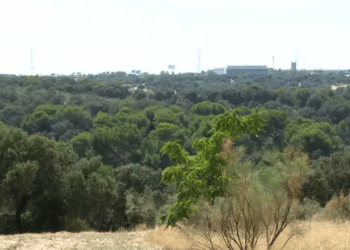 Suspendidas de forma cautelar las obras de urbanización de Montegancedo