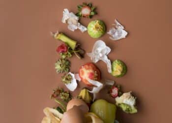 Majadahonda implantará un nuevo servicio de recogida de restos vegetales