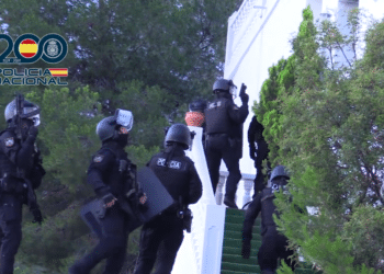 La Policía Nacional desarticula una organización criminal itinerante de carteristas asentada en Madrid y Valencia | Vídeo