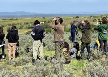 Nueva temporada en GREFA con visitas guiadas y un curso de especialización