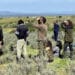 Nueva temporada en GREFA con visitas guiadas y un curso de especialización