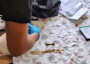 La Guardia Civil desarticula un grupo criminal dedicado a robar en viviendas en Las Rozas, Pozuelo y Boadilla del Monte | Vídeo