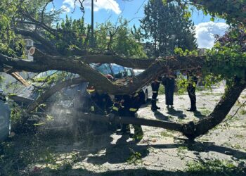 Las fuertes rachas de viento causan incidencias en Pozuelo de Alarcón y en otros puntos de la región | Vídeo