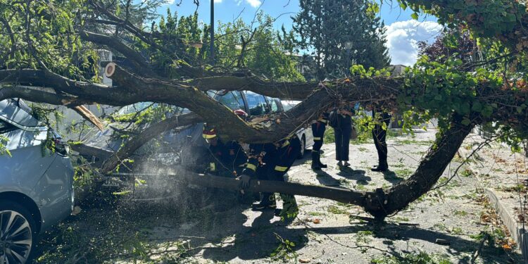 Las fuertes rachas de viento causan incidencias en Pozuelo de Alarcón y en otros puntos de la región | Vídeo