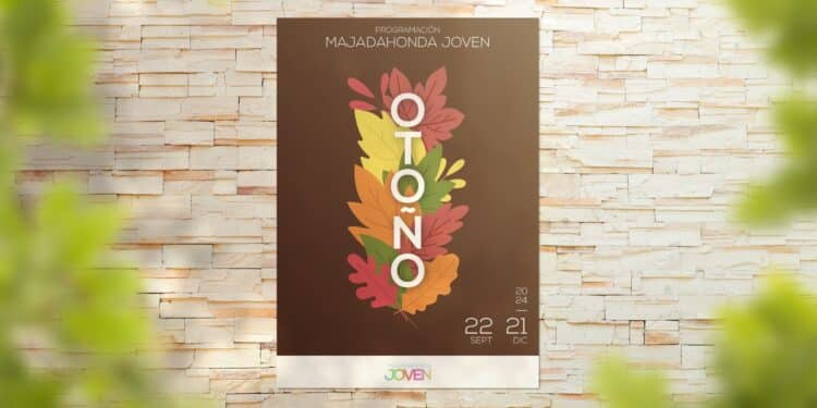 ‘Otoño Joven 2024’ en Majadahonda: teatro, voluntariado, adiestramiento canino, talleres para customizar ropa o rutas para recoger setas