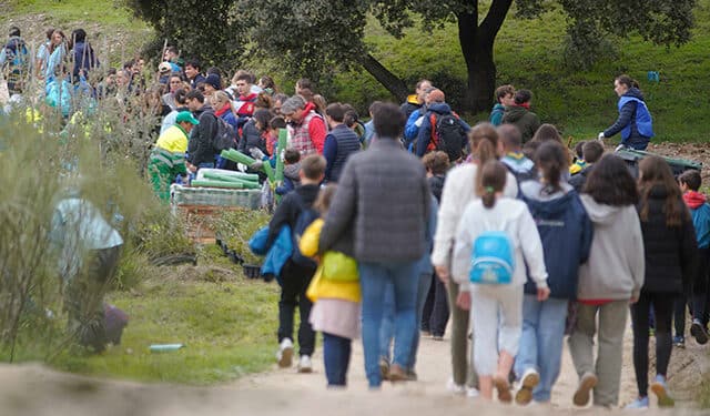 Las Rozas organiza una nueva Gran Plantación Familiar