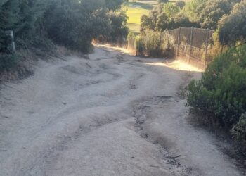 Tropiezos, resbalones y caídas | Carta de un vecino