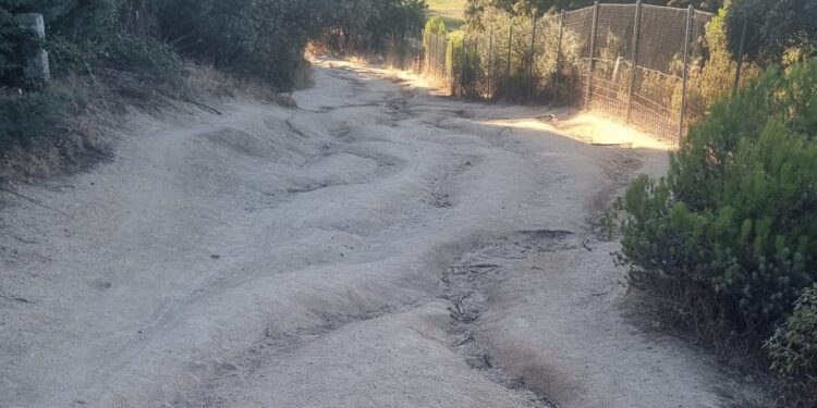 Tropiezos, resbalones y caídas | Carta de un vecino