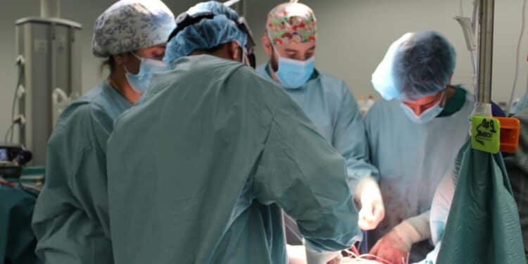 La jefa de Servicio de Cirugía Torácica del hospital Puerta de Hierro reconocida como una de las mejores especialistas de España