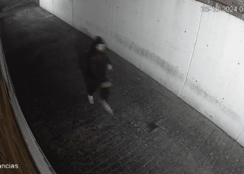 Detenido un joven acusado de provocar cuatro incendios en Majadahonda | Vídeo