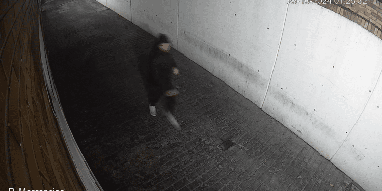 Detenido un joven acusado de provocar cuatro incendios en Majadahonda | Vídeo