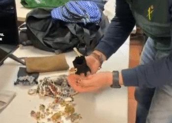 La Guardia Civil detiene a dos personas especializadas en el robo de viviendas en Las Rozas | Vídeo