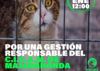 PACMA convoca una concentración para denunciar el estado de los animales del CICAM