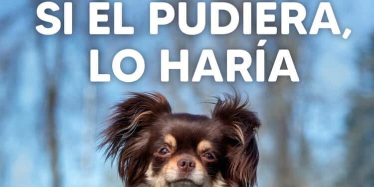 El Ayuntamiento de Pozuelo lanza una nueva campaña de vigilancia y sensibilización para la recogida de excrementos caninos