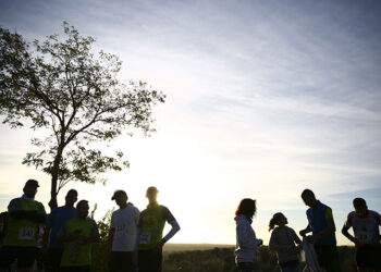 Una nueva plataforma digital de turismo impulsará el desarrollo y bienestar de Las Rozas