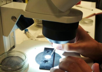 GREFA formará a voluntarios para estudiar y difundir el impacto de los microplásticos en las aves