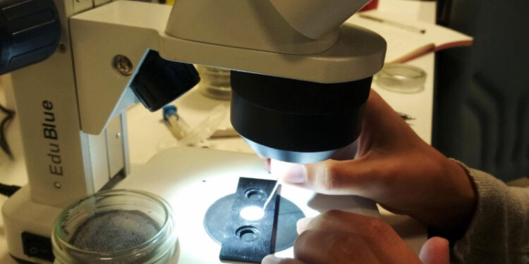 GREFA formará a voluntarios para estudiar y difundir el impacto de los microplásticos en las aves