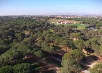 El PSOE de Majadahonda solicita que se active y actualice el modelo de gestión del Monte del Pilar